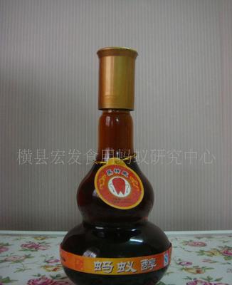 【广西特产 保健药酒 蚂蚁酒(图)】价格_厂家_图片 -